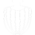 Wire Whisk icon