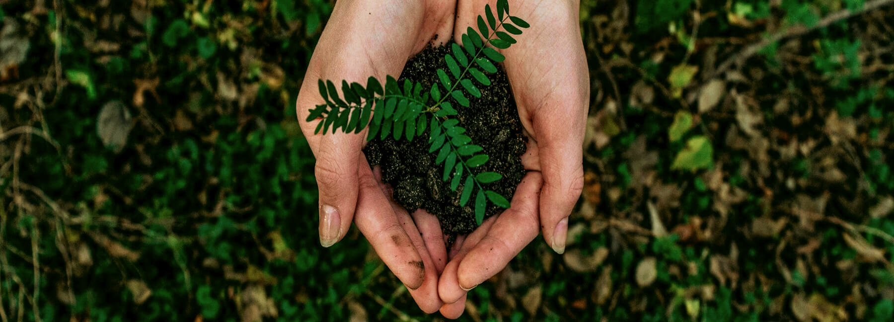 Kraftsman stand mixers arranged in a kitchen setting.